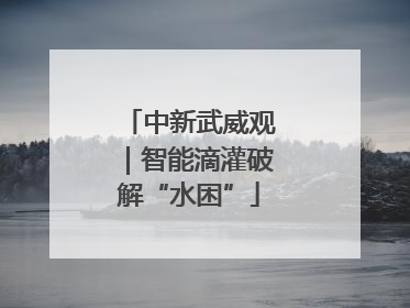 中新武威观｜智能滴灌破解“水困”